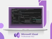 Promotional graphic for Microsoft Visual Professional 2022.